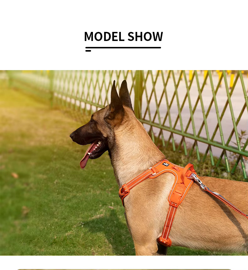 THE Wag Zone STANDARD