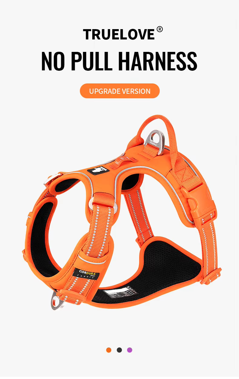 Wag Zone Nylon Dog Vehicle Harness