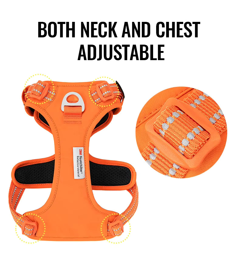 Wag Zone Nylon Dog Vehicle Harness