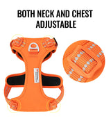 Wag Zone Nylon Dog Vehicle Harness