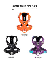 Wag Zone Nylon Dog Vehicle Harness