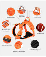 Wag Zone Nylon Dog Vehicle Harness